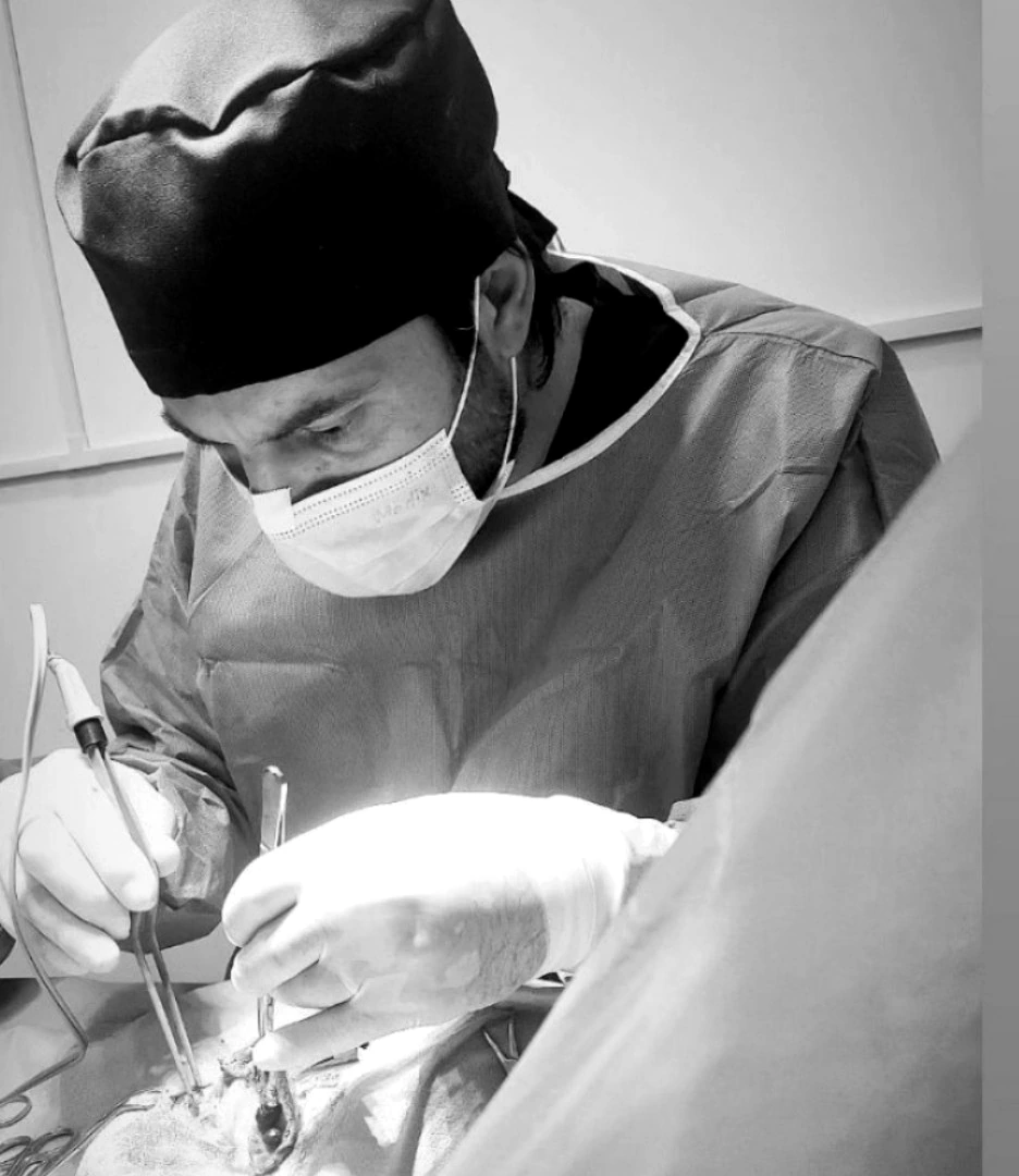 Procedimento cirúrgico veterinário na Doutor Pet