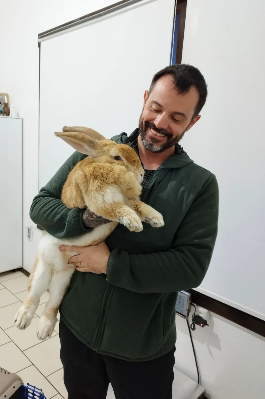 Médico-veterinário da Doutor Pet com um coelho