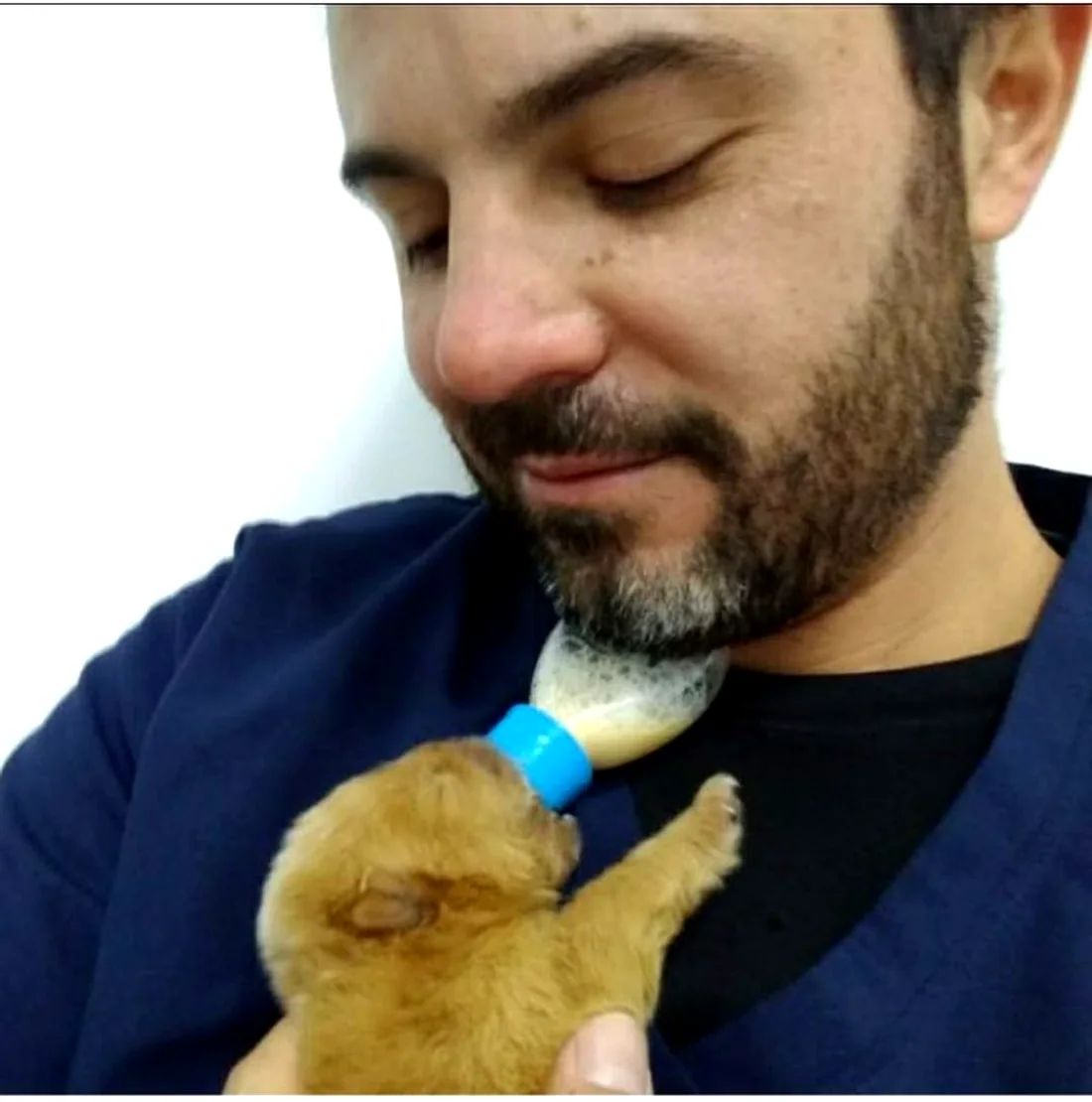 Médico-veterinário alimentando um filhote